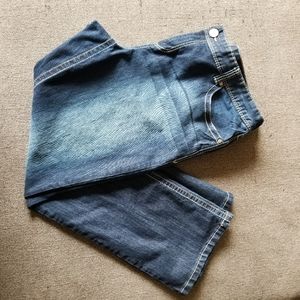 Maurices Plus Dark Jeans